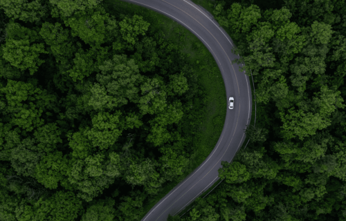 voiture sur route de foret